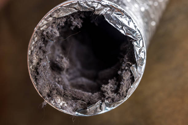 Best Emergency Air Duct Cleaning  in Shawneeland, VA